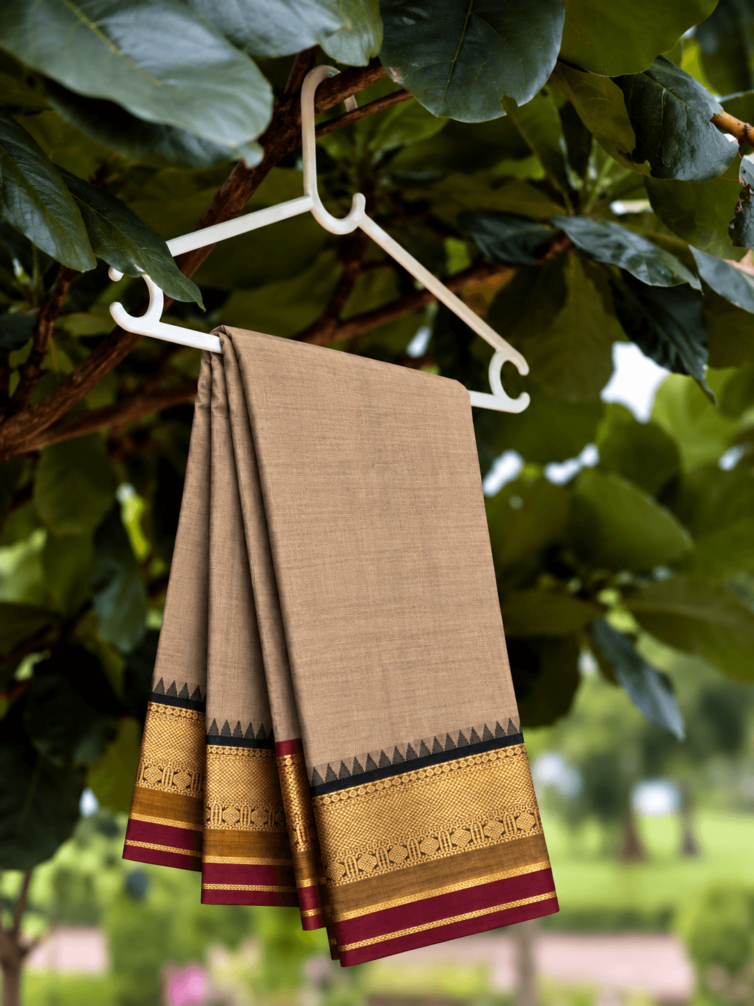 Beige Kanchi cotton saree with a black and gold zari temple border and maroon edge, hung on a hanger under a tree