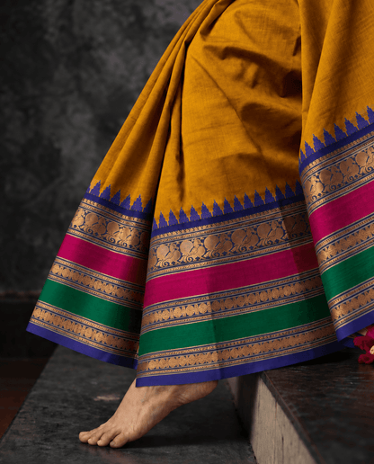 Woman wearing the mustard Kanchi cotton saree, draped to show the triple petta temple border in blue, pink and green with peacock zari