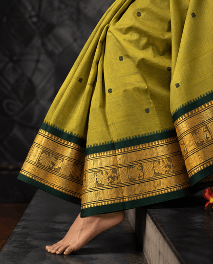 Mehendi green Kanchi cotton saree draped, showing bottle green buttas across the body and the bottle green and gold zari border with temple points