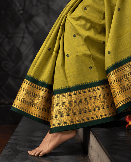 Mehendi green Kanchi cotton saree draped, showing bottle green buttas across the body and the bottle green and gold zari border with temple points