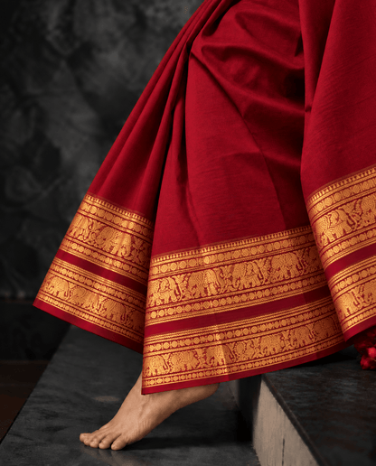 Red yaanai Kanchi cotton saree draped in pleats, gold zari elephant border — handwoven pure cotton by Ayraa Silks