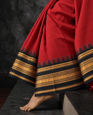 Red and black temple border Kanchi cotton saree draped, gold zari bands along the hem — handwoven pure cotton by Ayraa Silks