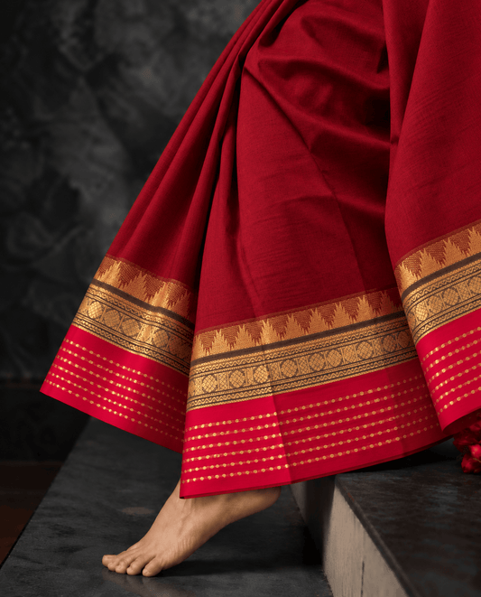 Maroon temple border Kanchi cotton saree draped, gold zari border with green band and pink edge — handwoven pure cotton by Ayraa Silks