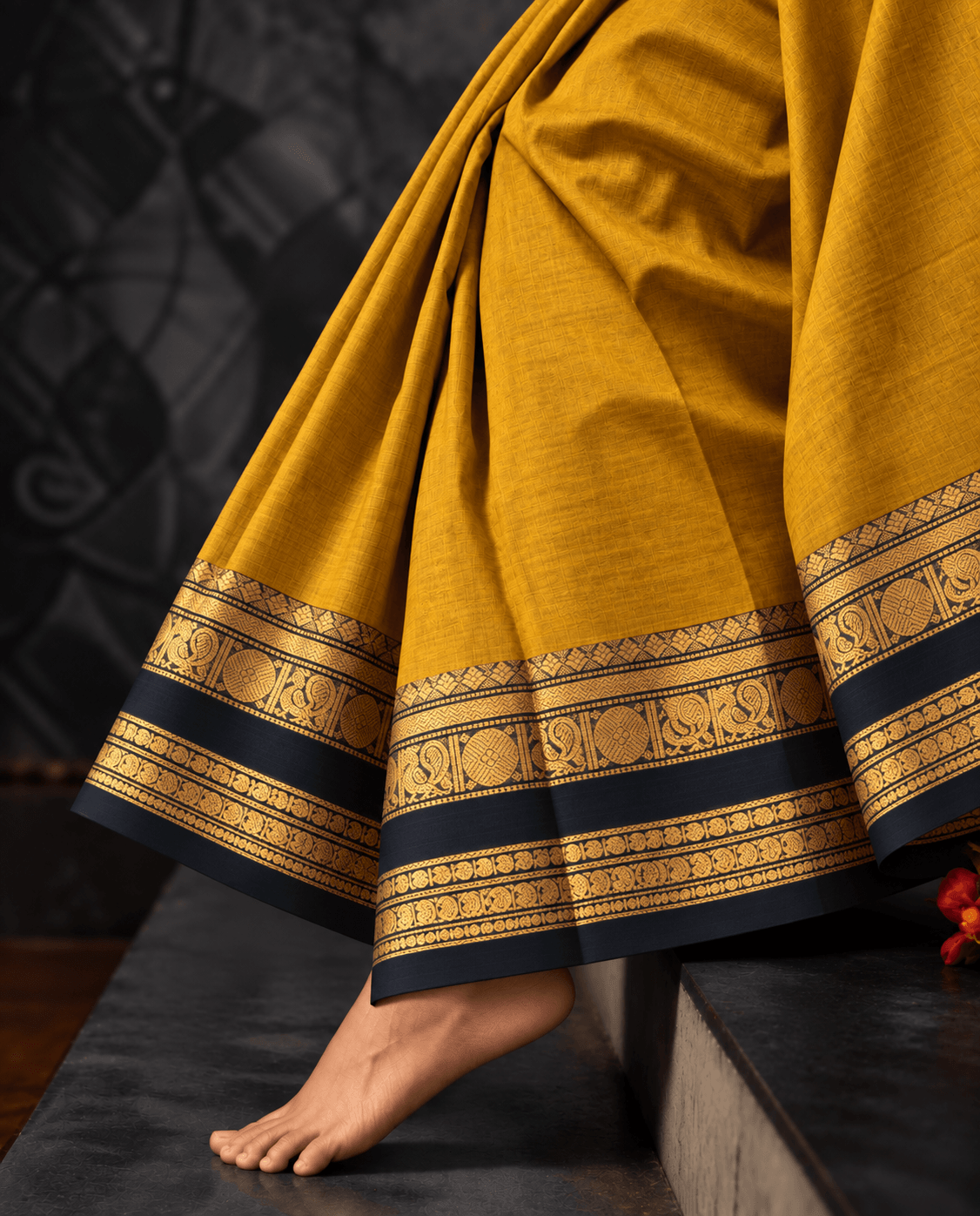 Mustard mayil Kanchi cotton saree draped, black and gold zari peacock border — handwoven pure cotton by Ayraa Silks