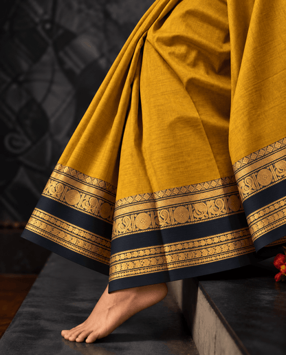 Mustard mayil Kanchi cotton saree draped, black and gold zari peacock border — handwoven pure cotton by Ayraa Silks