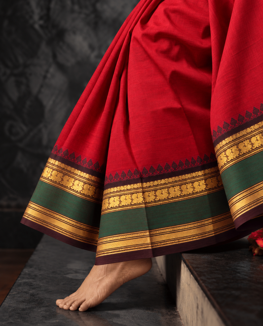 Red Kanchi cotton saree with black temple border, gold zari paisleys and green band — handwoven pure cotton by Ayraa Silks